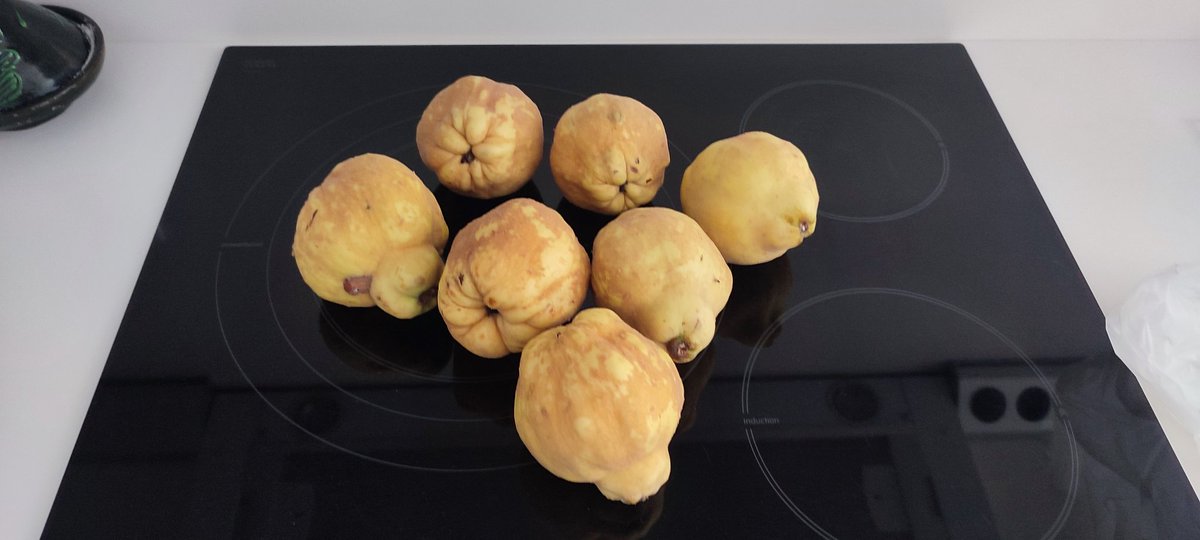 Utopos's tweet image. @Afrucat @uniopagesos Dos kilos de #Codonys UN euro, al Mercat setmanal de Mollet. És 'normal' aquest preu? Els surten 'els números‘ als #Pagesos? #Kydonion #Cydonia