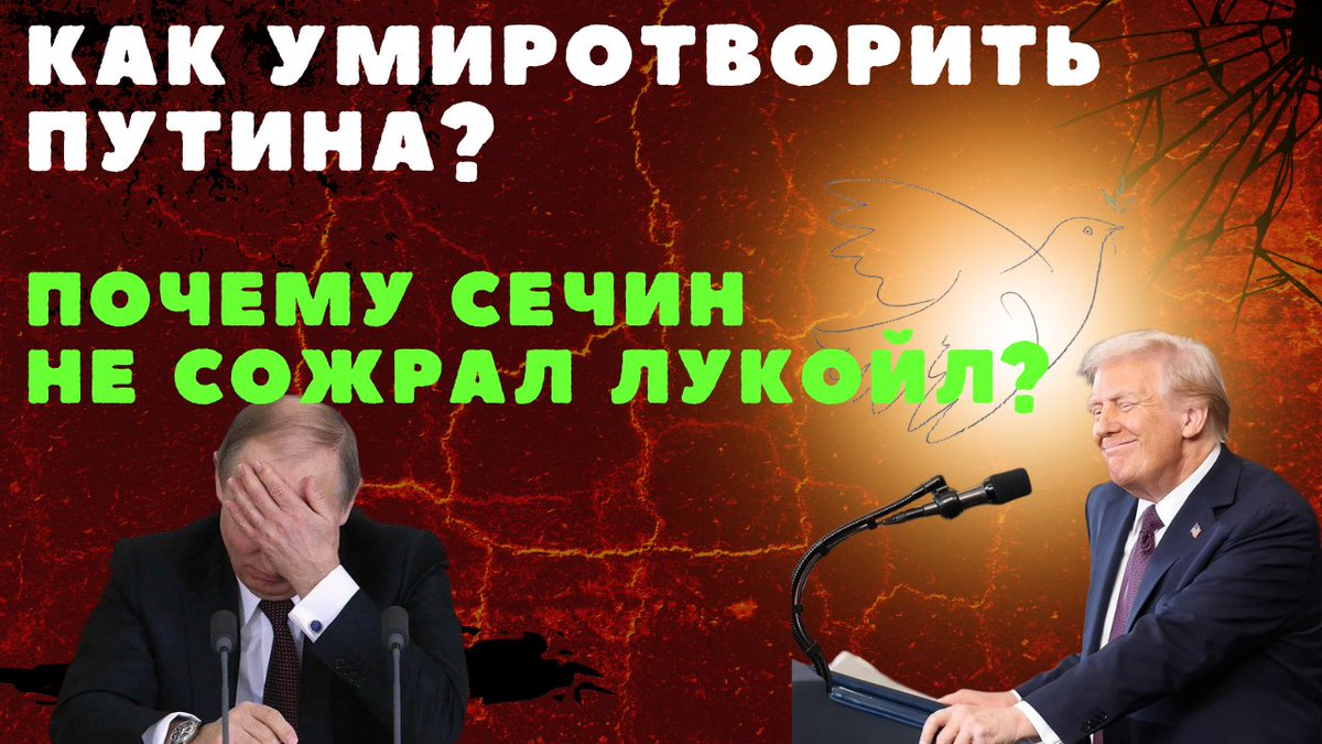 Конечно, наша беседа с Вадимом Радионовым не могла пройти мимо событий на Ближнем Востоке и урегулированием конфликта в секторе Газа. Станет ли ситуация устойчивой и стабильной? Нужно ли винить Трампа за бизнес-подходы в политике? Какие инструменты может использовать президент