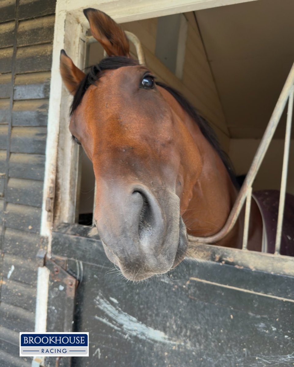 Brookhouse Racing tweet media