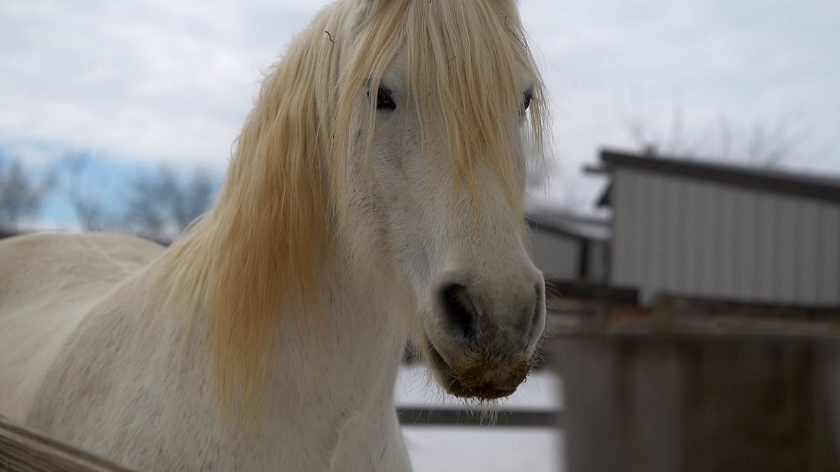 New video for <a href="/trapperschoepp/">Trapper Schoepp</a> ‘Kentucky Derby’ out today! + a nice write up from <a href="/milwaukeerecord/">Milwaukee Record</a> 

milwaukeerecord.com/music/trapper-…