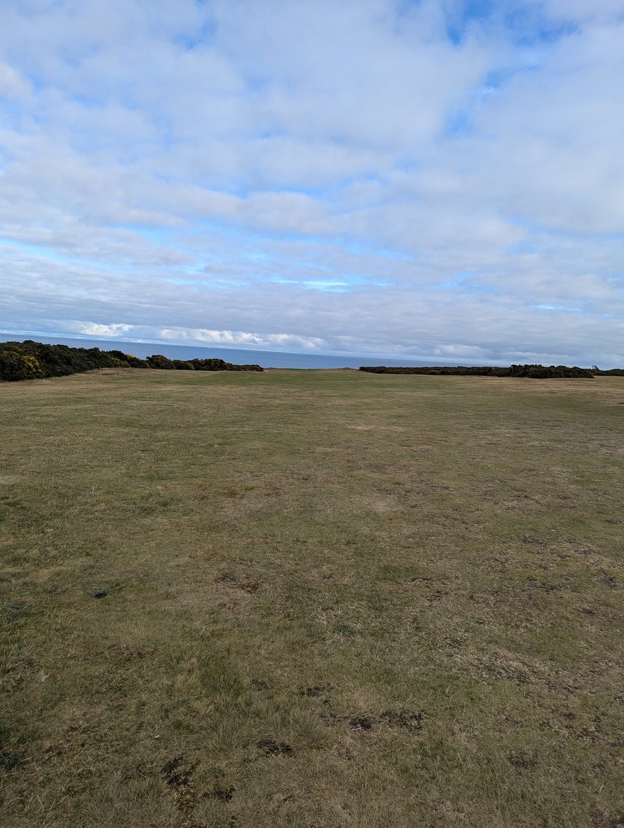 Ian Gray tweet media