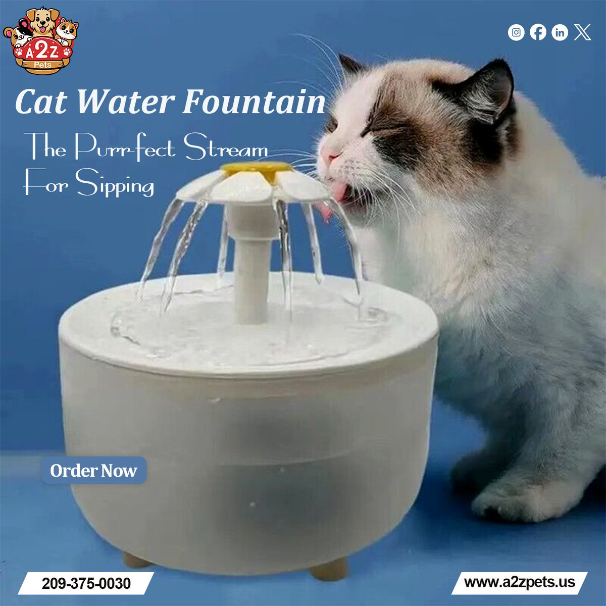 a2z_supplies's tweet photo. Upgrade their water bowl to a full spa experience. ✨ Fresh, filtered, flowing water 24/7!
#CatWaterFountain #MustHave #PetSupplies #FilteredWater #CatAccessories #CatsofInstagram #InstaCat #PetTech #TreatYourCat https://t.co/gxYZBkIagM