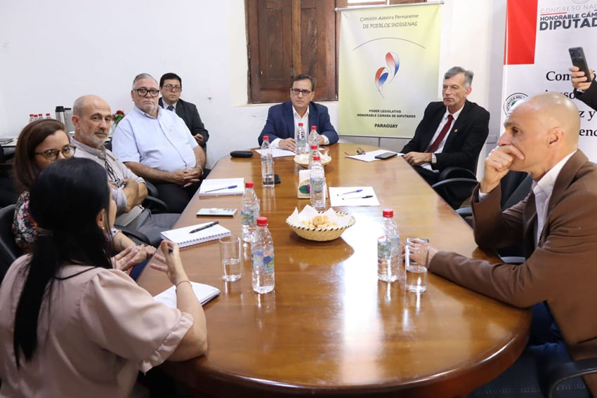 Amnistía Internacional pide acciones concretas para restituir tierras al pueblo Avá Guaraní

(Redacción: Prensa – Dirección de Comunicación). La Comisión de Pueblos Indígenas, presidida por el diputado Pastor Vera Bejarano (PLRA-San Pedro), recibió a una delegación de Amnistía