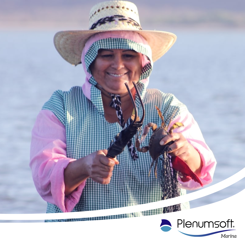 Plenumsoft Marina tweet media