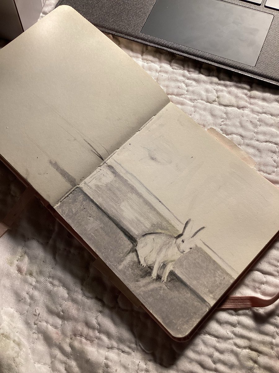 ecemiiu's tweet photo. rabbit https://t.co/4MBQPXhqwb