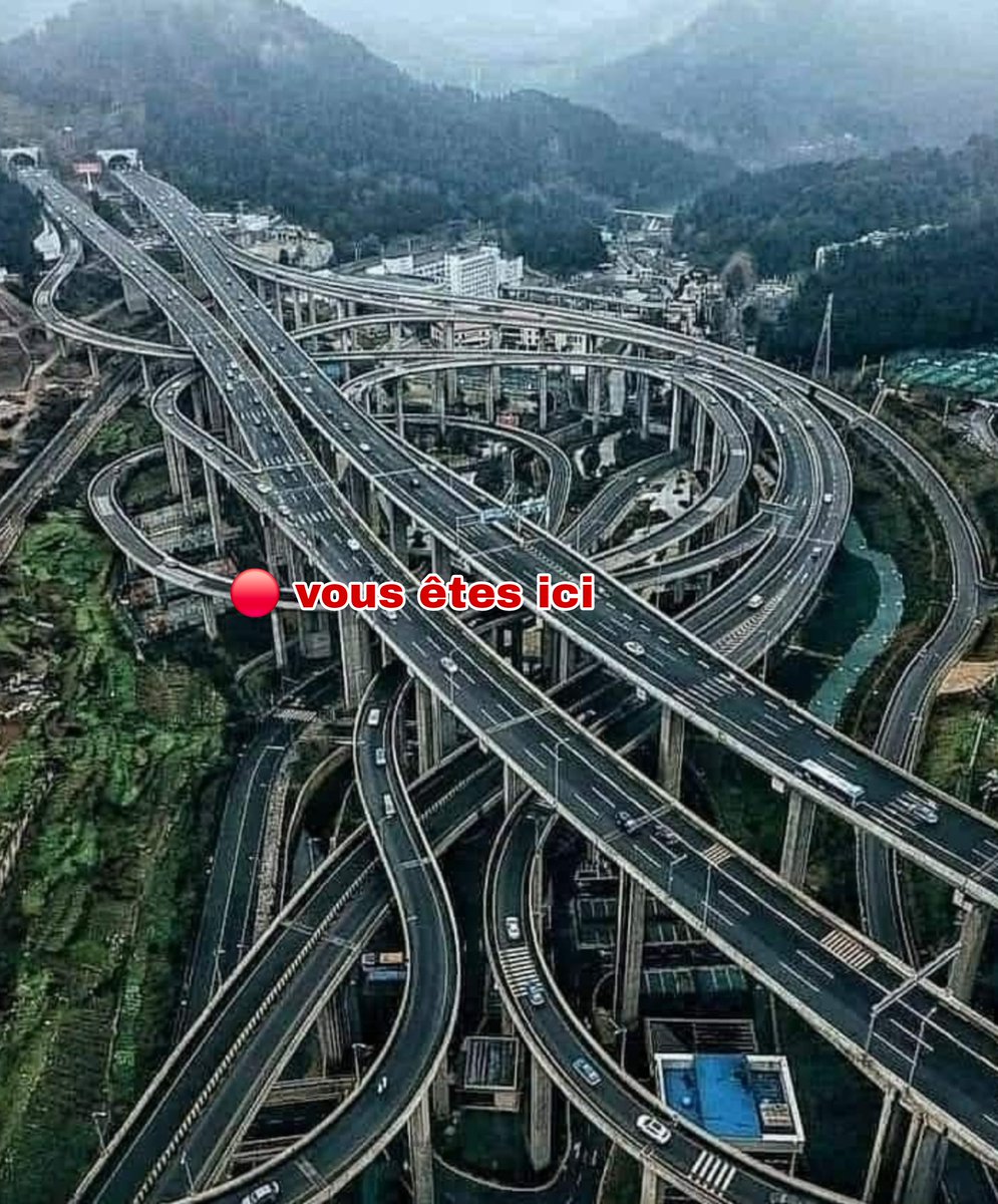 Nini_MacBright tweet media