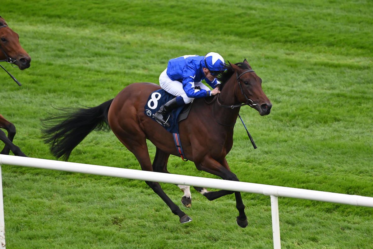 TaylorMadeSales's tweet image. A very meaningful win at Naas as @MedallionRacing's, JOSH’S JOY 🤍 broke her maiden. A beautiful tribute to our late friend Josh Bryan who is so deeply missed, and a heartfelt reminder of the joy and light he brought to everyone around him. We look forward to seeing what's next…