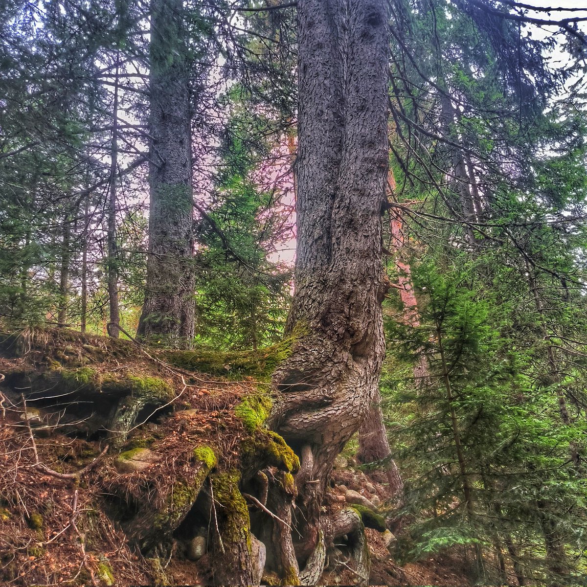 This could be us but you Playing.