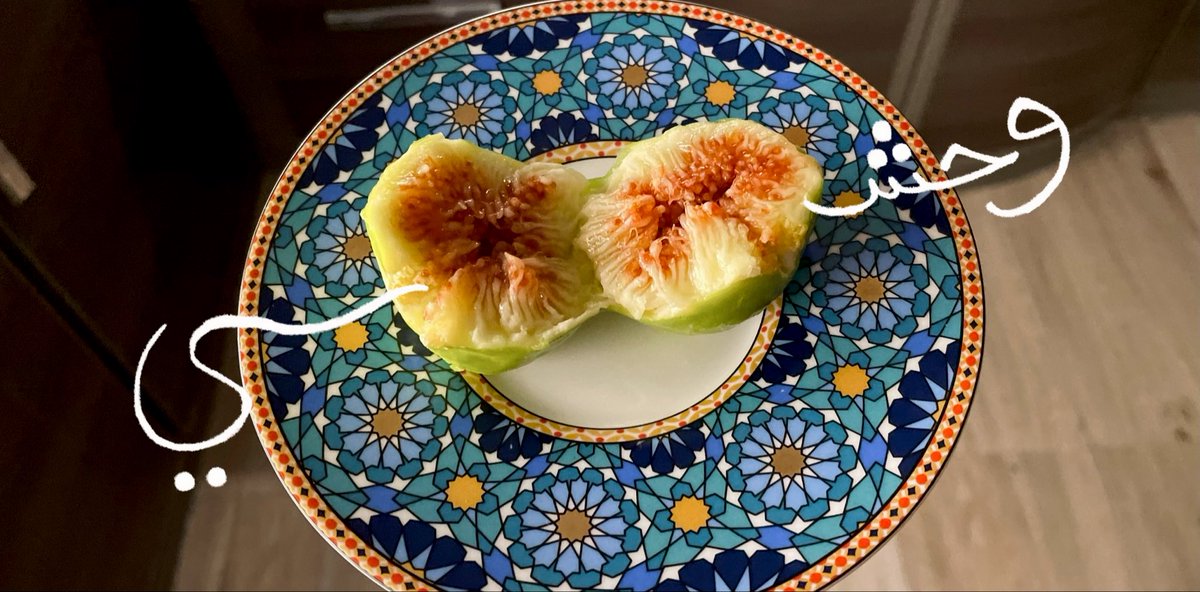 َ (@nfclno) on Twitter photo 