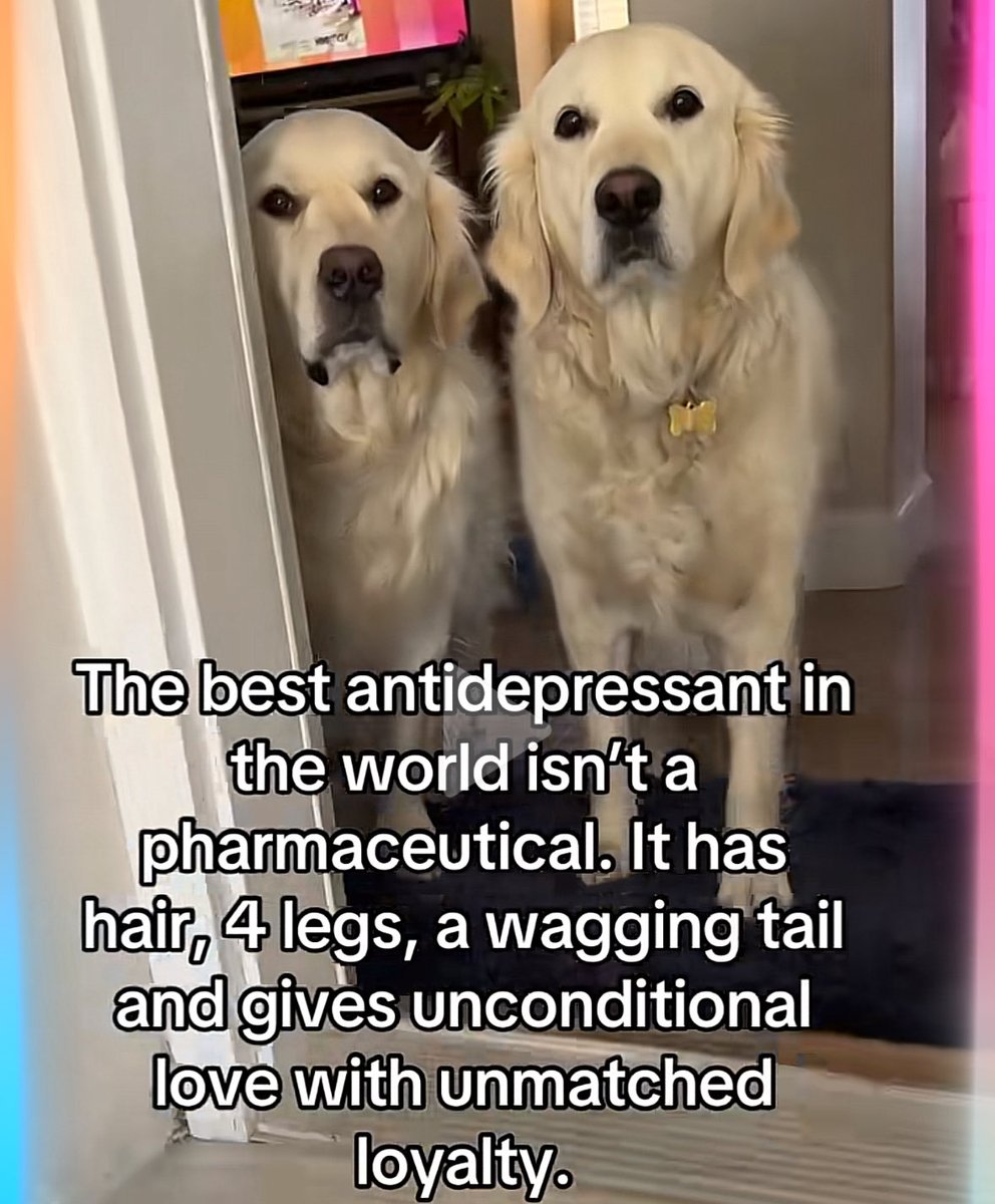 FarmGirlCarrie's tweet photo. I could not agree more! ♥️🐾 https://t.co/gNyZf7QTMY
