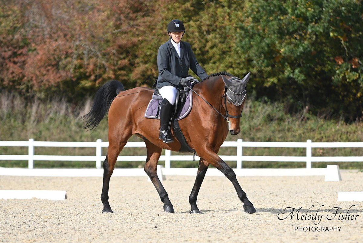 Lux does dressage with autumn trees <a href="/WoodlandNomad/">TC🌳</a>