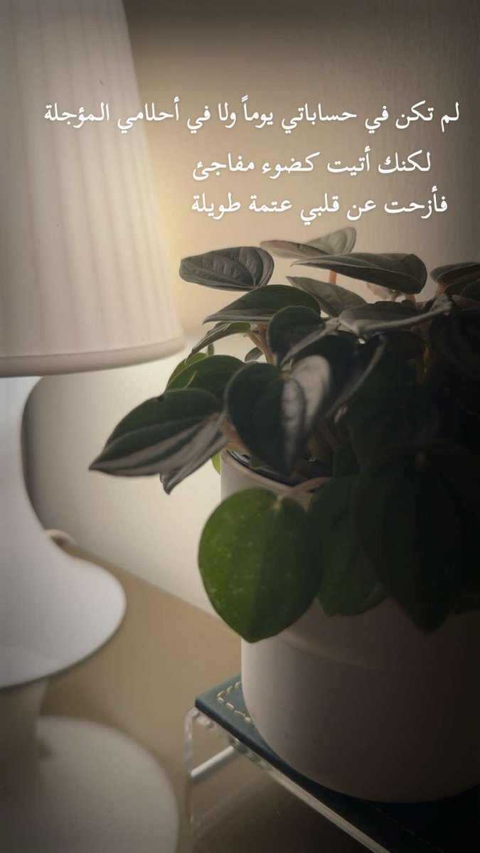 ihaneen79's tweet photo. https://t.co/bWIks2rFkJ