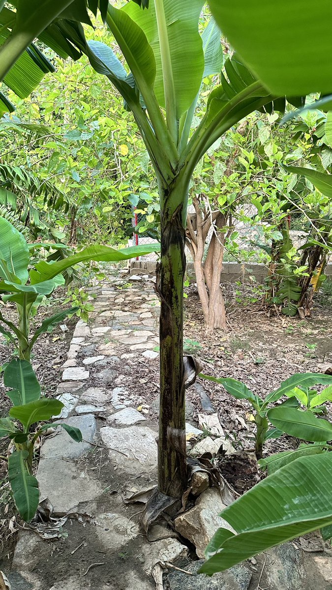 Salha Alshehri💫 tweet media