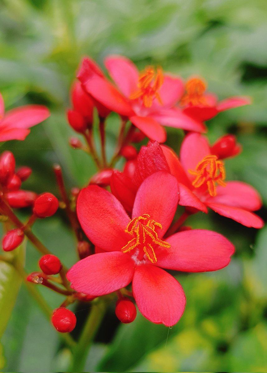 Beauty of Nature 😊