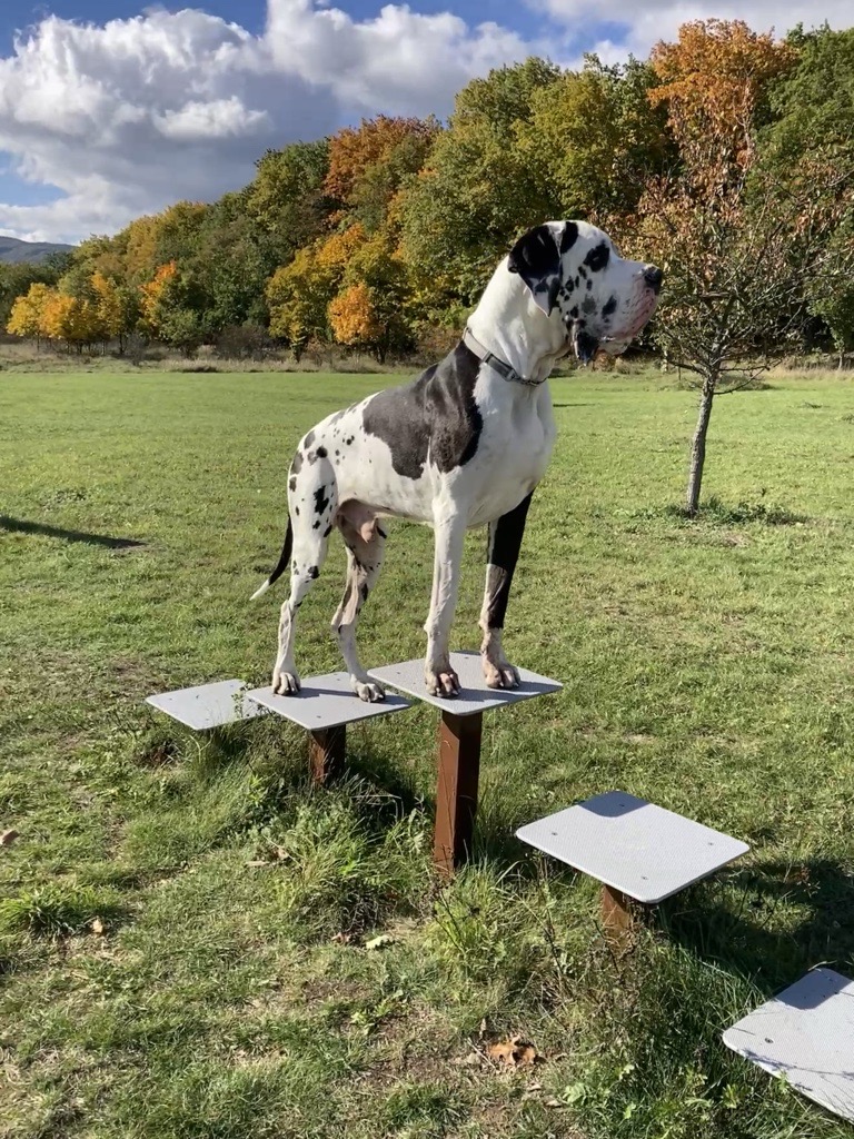 mgrmc2's tweet image. Taky jste si  užili slunečný den?