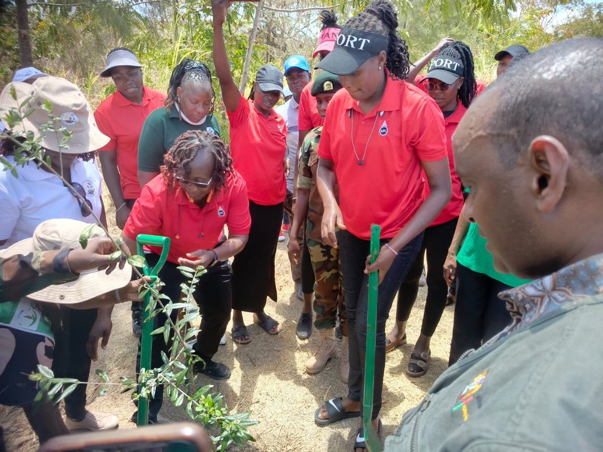 kenyapipelinevc's tweet image. @kenyapipelinevc participated in the tree planting exercise at Kitui Teachers Training  College to kick off the 2025 Mashujaa Day Energy Week. The exercise was kicked off by the PS State Department of Petroleum,  Mohamed Liban. @official_MLiban 

#EnergyWeek2025