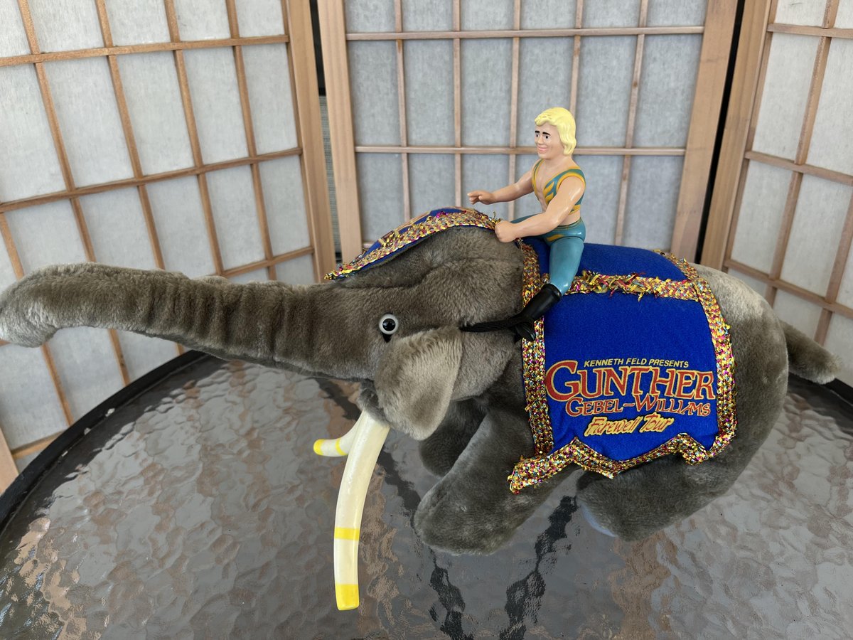OldSowell's tweet image. oldsowellshop.etsy.com/listing/438631… #elephantplush #RinglingBros #BarnumandBailey #GuntherGableWilliams #farewelltour #souvenir #Collectible