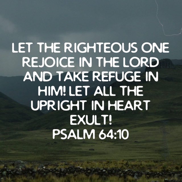 Michael Lupino tweet media