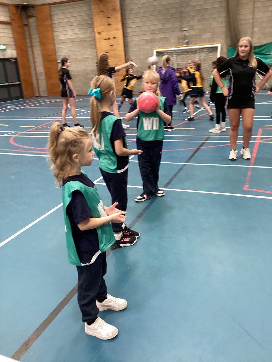 @Wesley_Primary tweet media