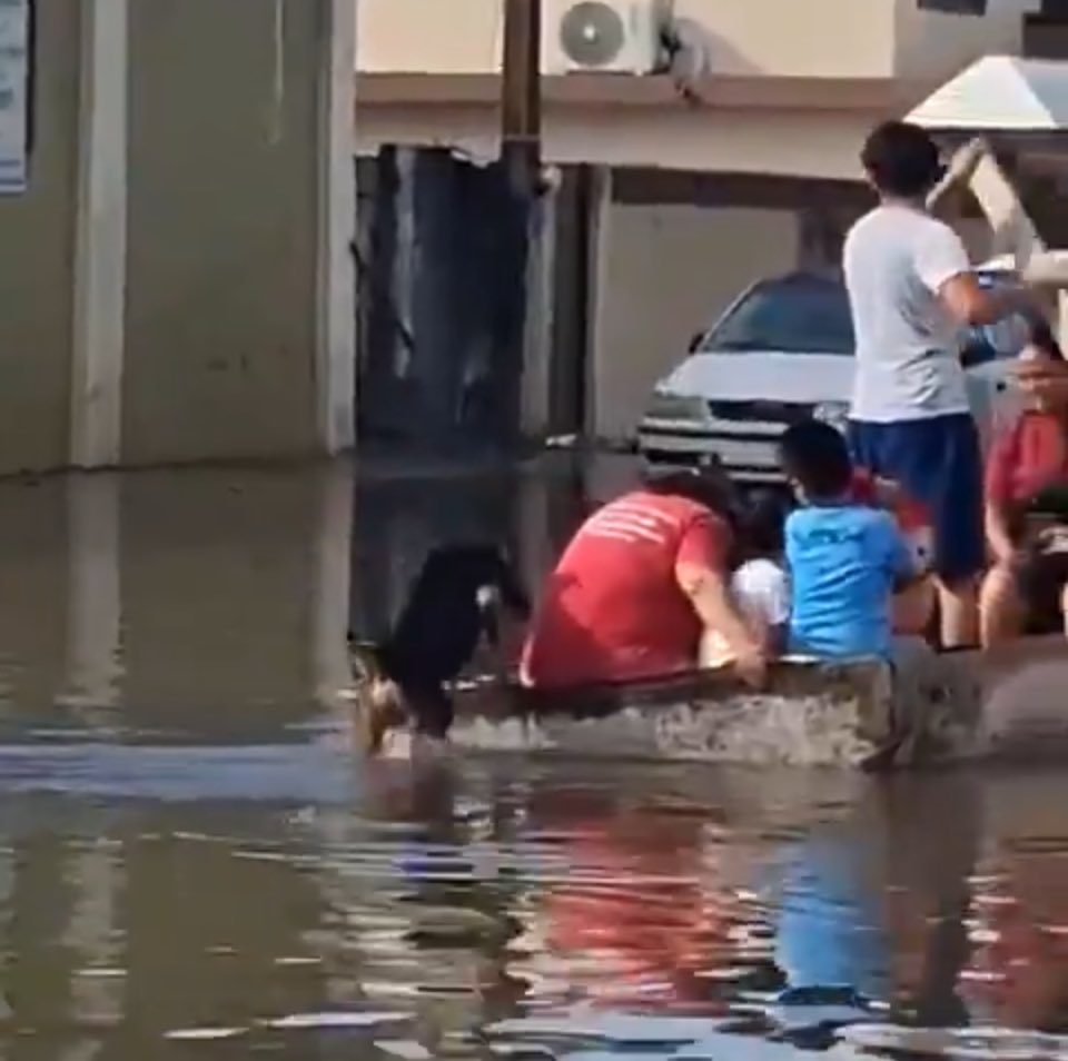 esucrea's tweet photo. Como cuando tu perro te demuestra inmediatamente más apoyo y solidaridad Que la q vive en palacio demuestra nuestros impuestos diciendo q darán la vida y el alma por la gente en desgracia https://t.co/blpdh0lHEa