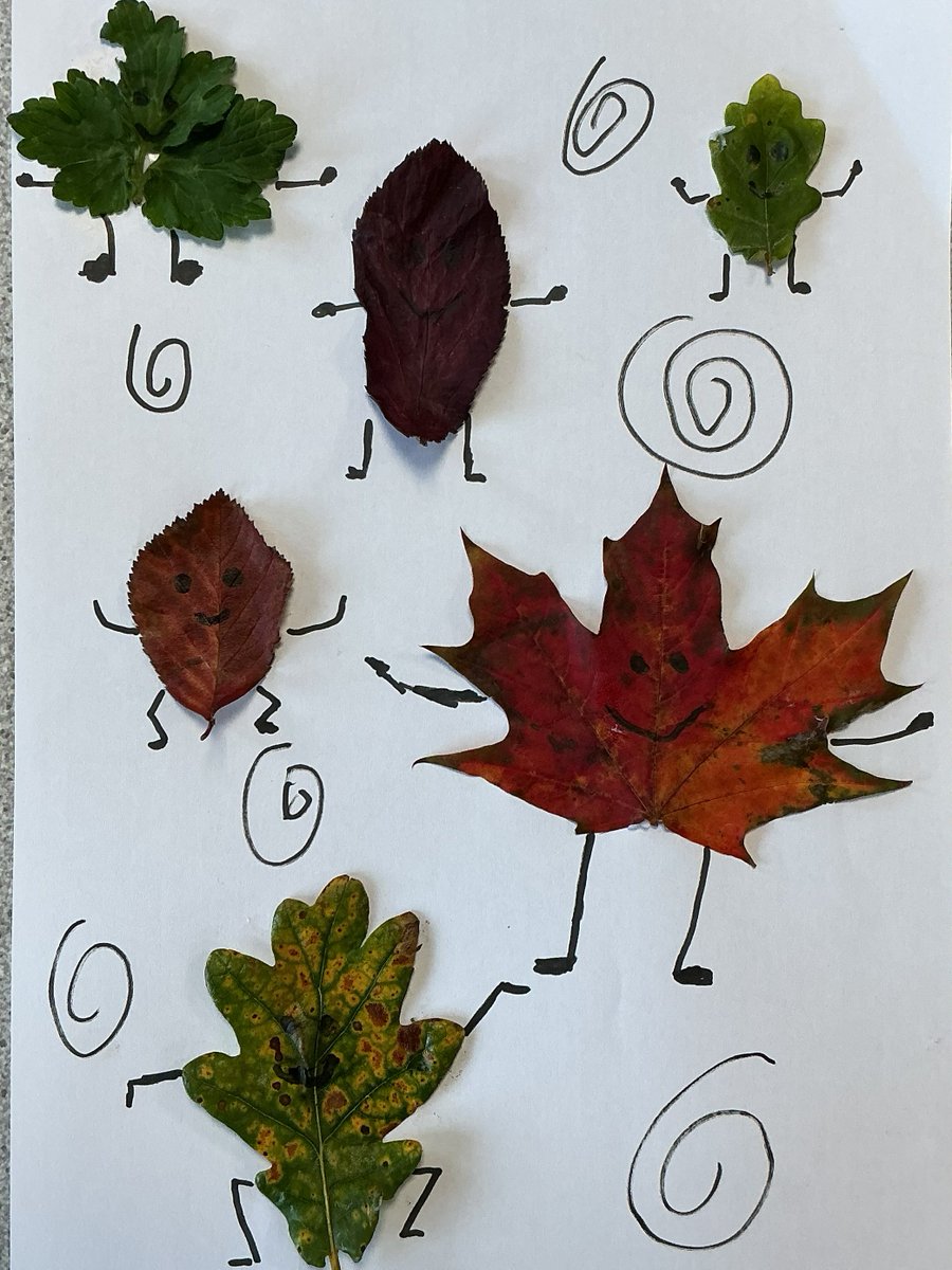 Millfield Prep Boarding tweet media