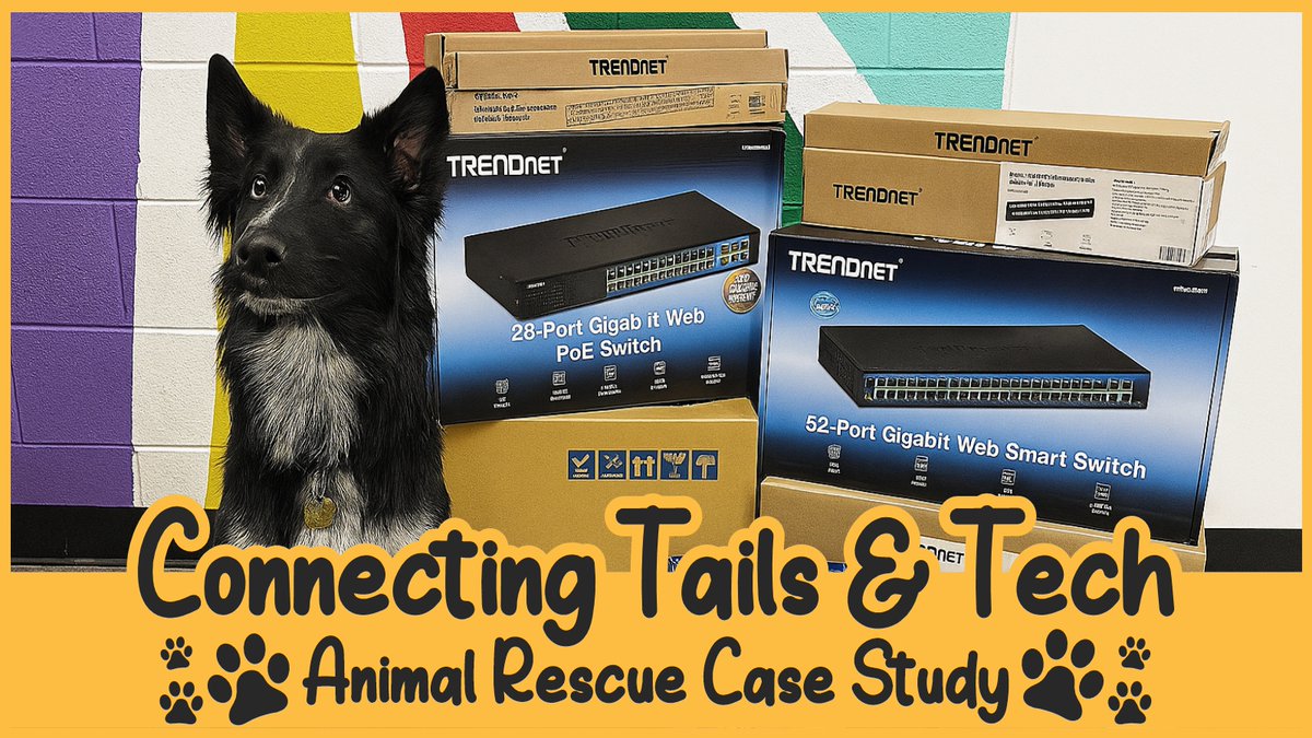TRENDnet's tweet image. Outdated network? Not anymore! Paw Works upgraded with TRENDnet wireless, switch, and patch panel solutions. Read the case study!. #networkupdate #networkingsolutions #casestudy #animalshelter
trendnet.com/press/resource…