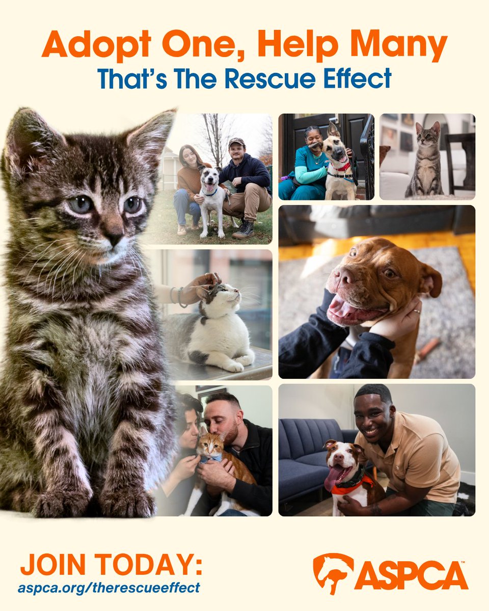 Join #TheRescueEffect with me and the @aspca! When you adopt or foster, you help create a ripple that saves more lives – that's #TheRescueEffect! Thanks to the @aspca, 600+ shelters nationwide are participating in this lifesaving campaign! Learn more: aspca.org/therescueeffect 😊