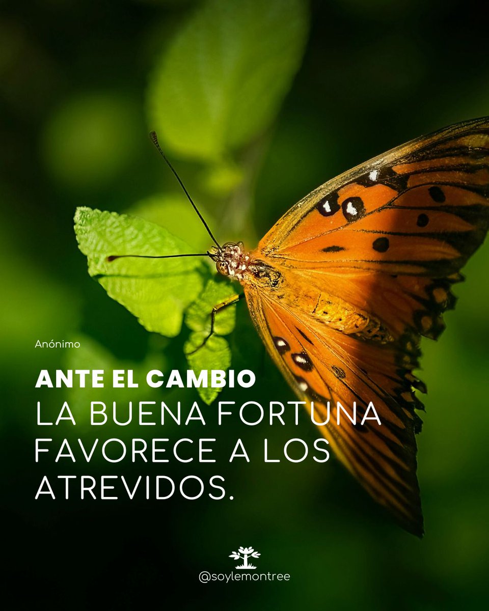 soylemontree's tweet photo. A veces el cambio da miedo… pero también es la puerta a oportunidades únicas.

Atrévete a abrirla. 💛🌿

#SoyLemonTree🍋 https://t.co/ceSpa6QTUl