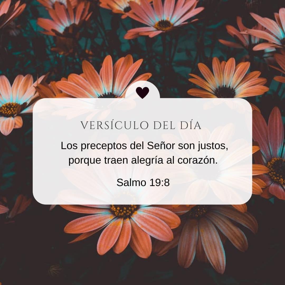 Los preceptos del Señor son rectos: traen alegría al corazón. El mandamiento del Señor es claro: da luz a los ojos.
Salmos 19:8
Feliz Miercoles, gracias a Dios por el privilegio de la vida, la alegria de un nuevo amanecer.