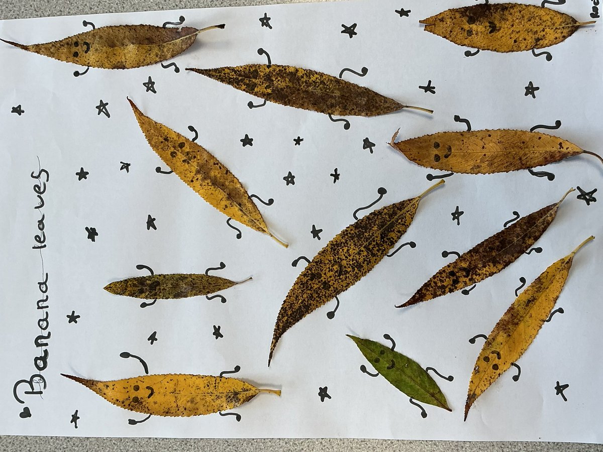 Millfield Prep Boarding tweet media