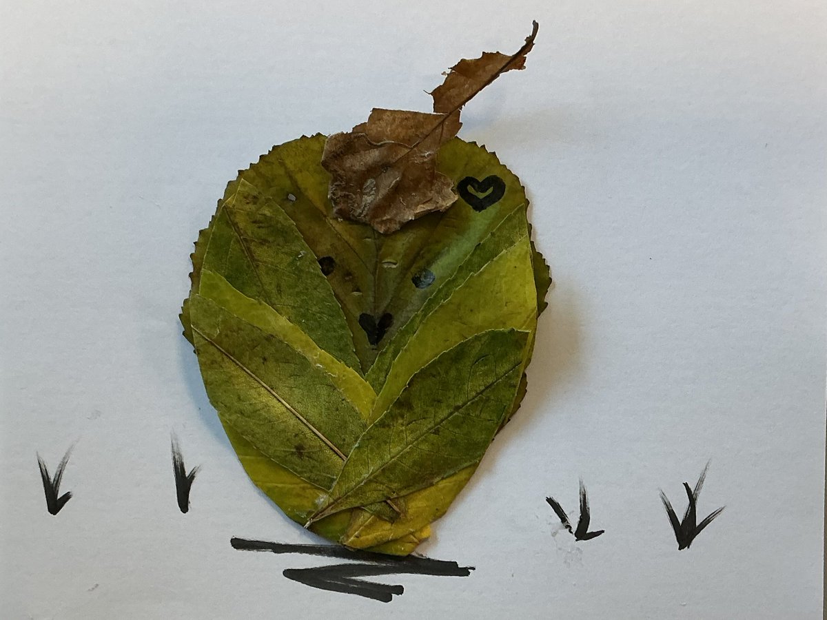 Millfield Prep Boarding tweet media