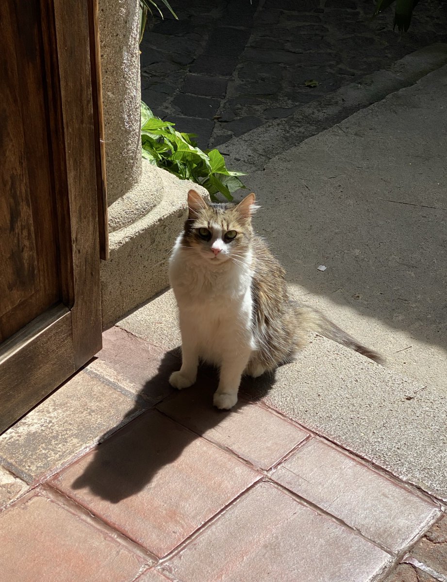 Mi vidita 🤍 te tuve tan poco tiempo, tenía aún más amor para darte