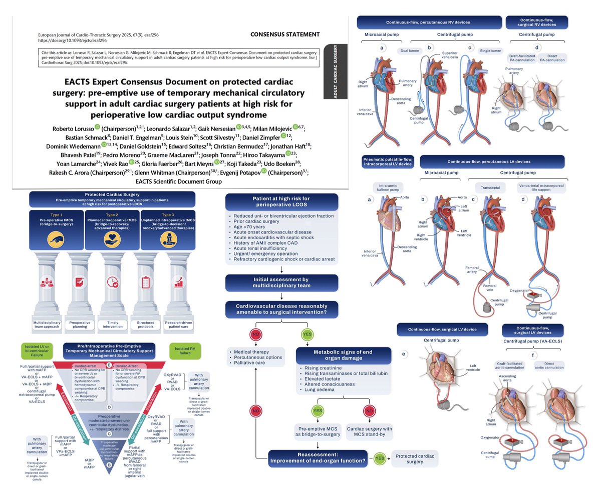 FOAMecmo's tweet image. The @EACTS Consensus on protected cardiac surgery: pre-emptive temporary #MCS in adults  
🔍 epidemiology & impact on outcomes
👥 interdisciplinary heart team & shared decision making
🚧 identification/classification of patients at high-risk for periop low CO syndrome
🪜…