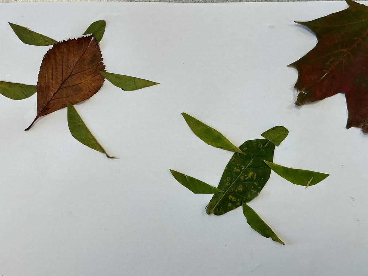 Millfield Prep Boarding tweet media