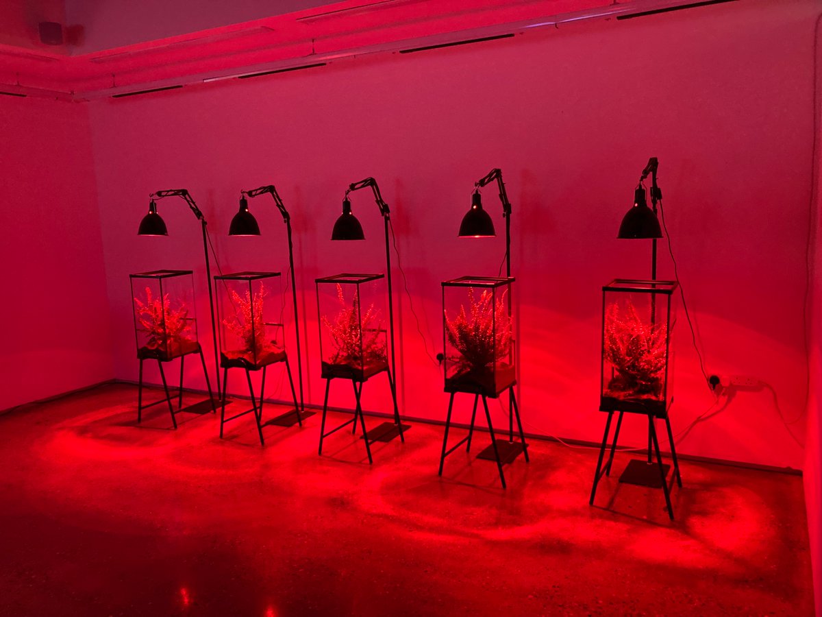 ALiuzzoScorpo's tweet image. Great opening of the #exhibition For Women’s Amusement- a collaborative #interdisciplinary research project @unilincoln which included one of our MA @LincolnMedieval students and myself. A reminder of the value of applied #Humanities beyond disciplinary boundaries.