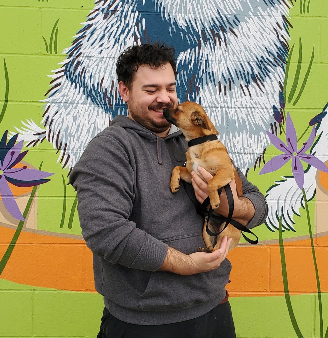 💚🐾 Last week's adoption numbers! 🐾💚

Over the past week 213 dogs, cats, and rabbits found new homes, including Koda!🐶🐱🐰

Congratulations to all the adopters and your new furry friends 🎉

View all of our adoptable pets here: thehumanesociety.org/adopt/