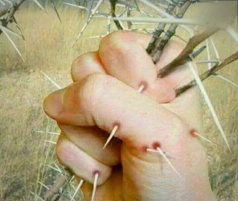 الشاعر أبوحيدر الحمزي tweet media