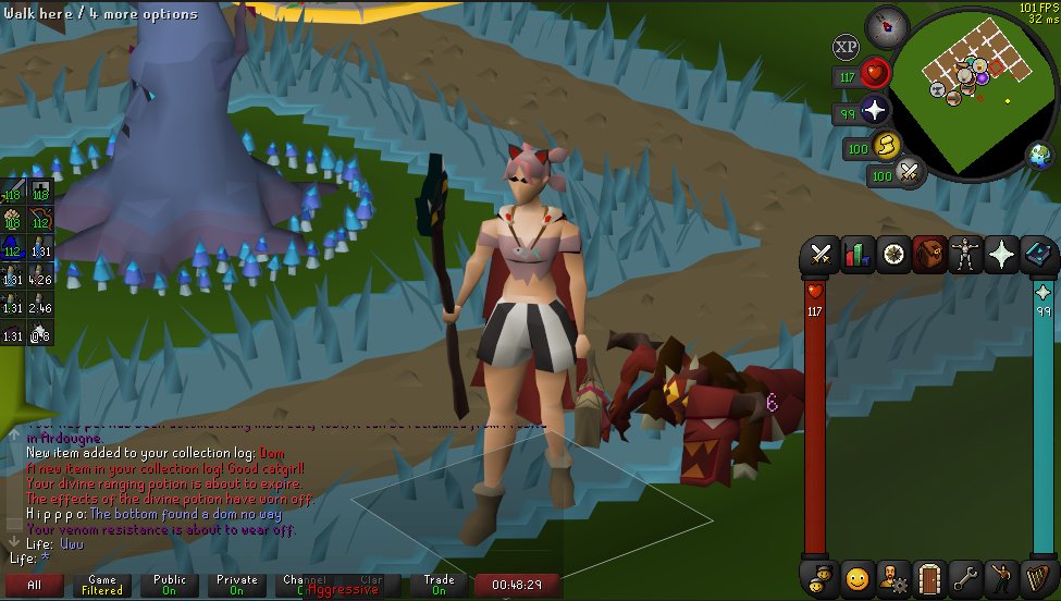 Pet #17 on the main, dom pet for silly cat :3

#osrs #runescape
