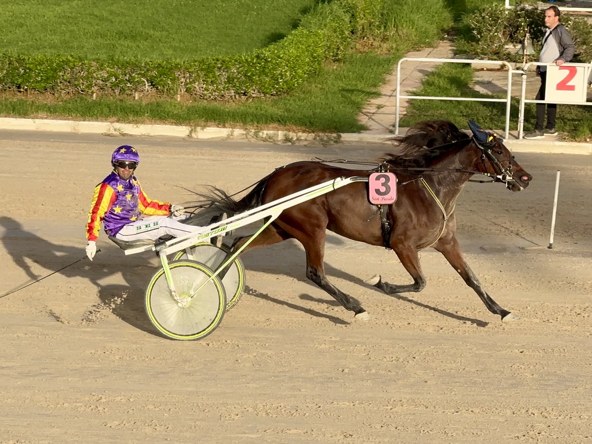 FECT ©️ tweet media