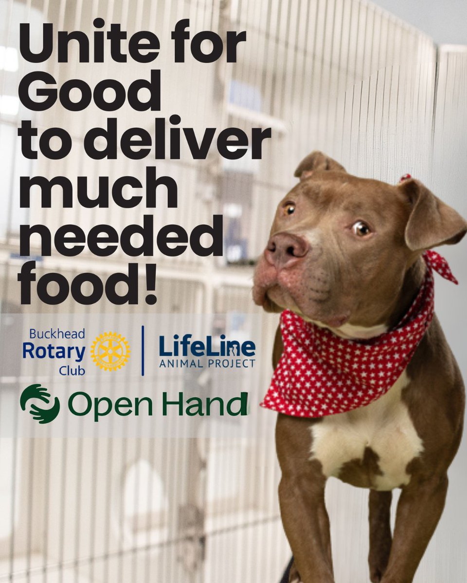 This Saturday, join us for our Pawsitivity Partnership with <a href="/lifelineanimal/">LifeLine Animal Project</a> + @openhandatlanta 🐾 We’ll deliver food to families in need, helping pets stay with the people who love them most ❤️ Bring a guest &amp; register on the Member site.

Sat Oct 18, 10–12, at Open Hand.