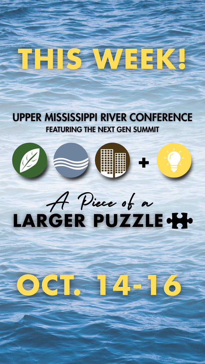River Action tweet media