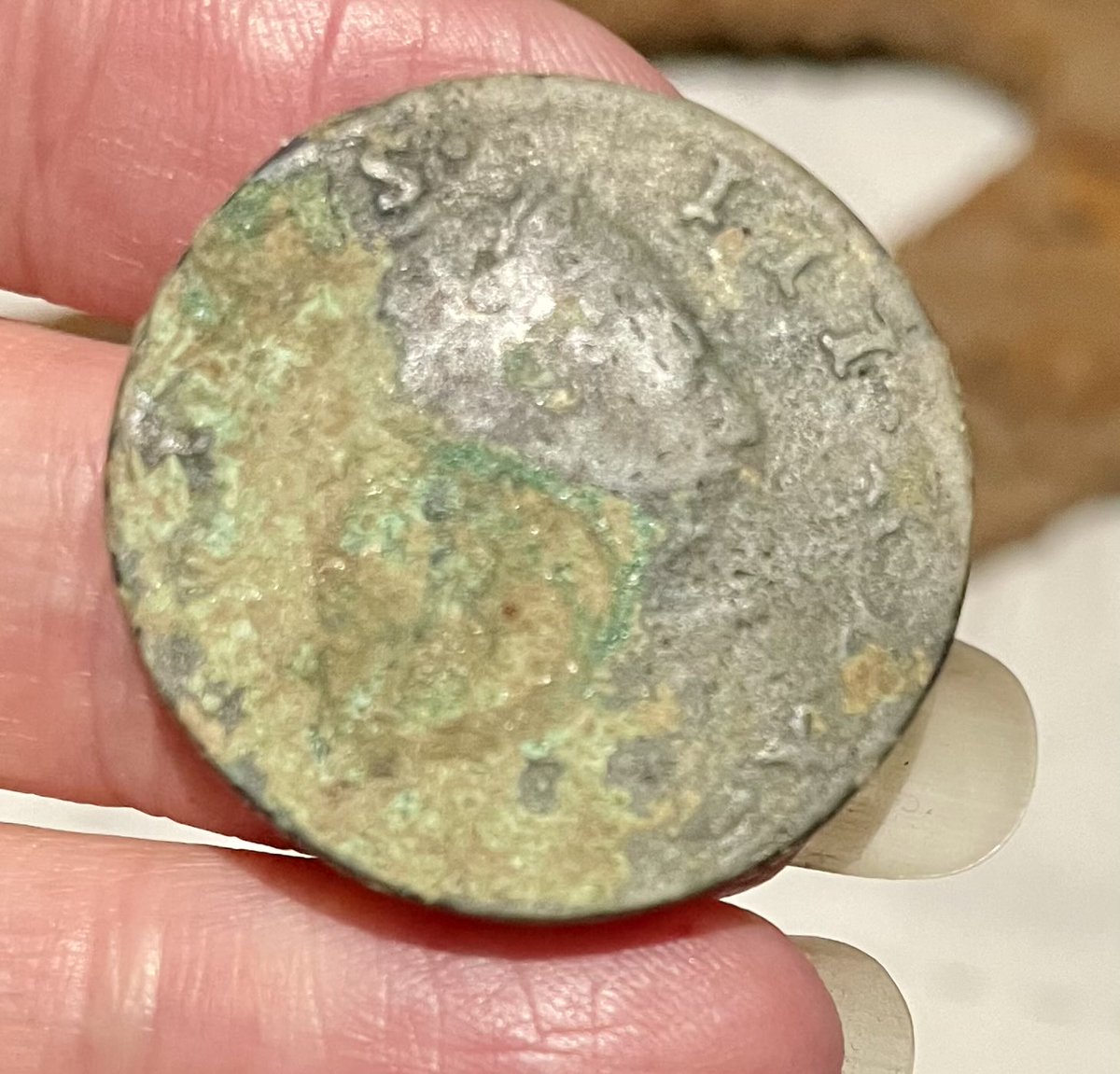 Michelle Roe tweet media