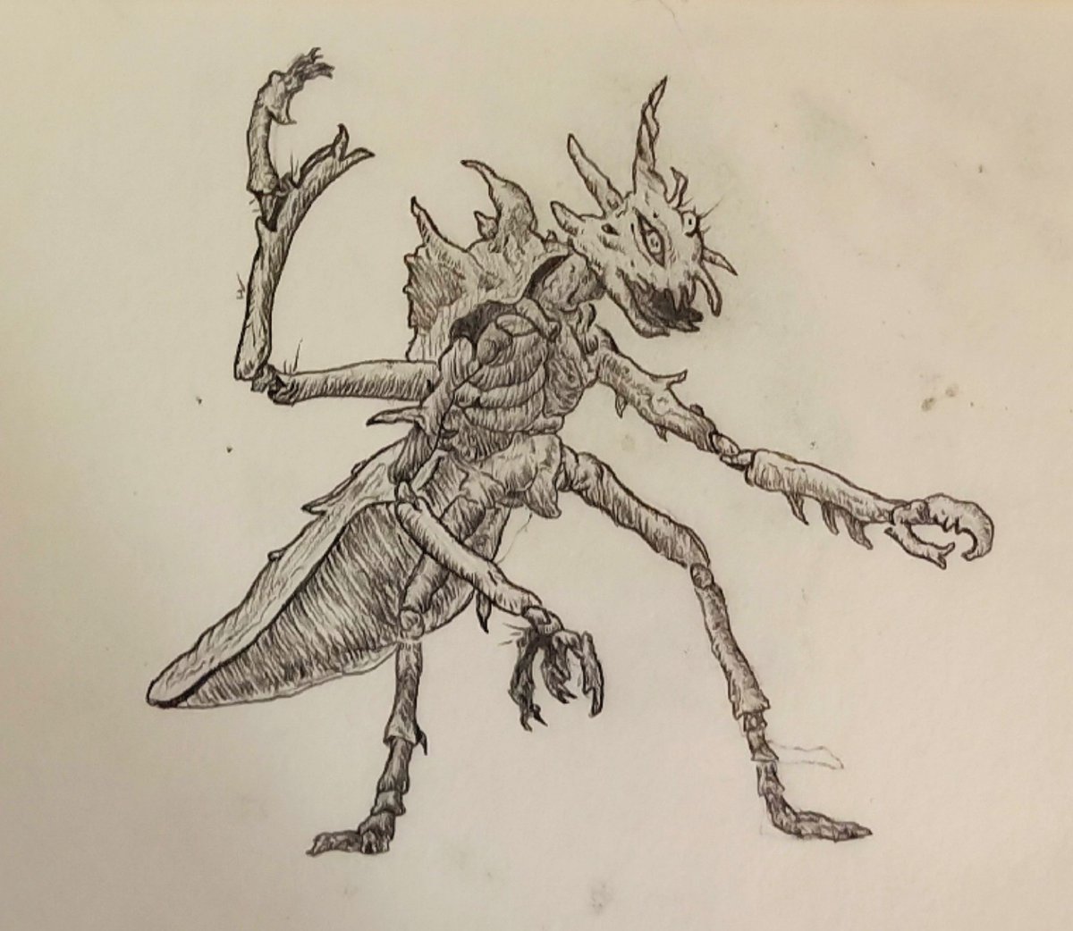 🦑SERVIOX🦑 tweet media