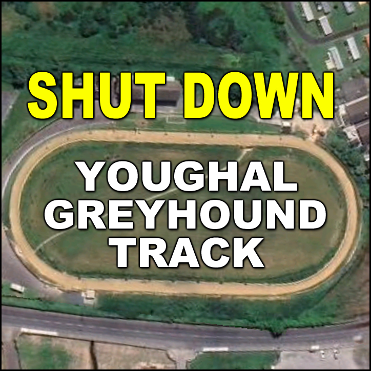 Greyhound Racing Ireland is HIDING video footage of Race 6 at Youghal track on Saturday (11 October 2025) during which 3 greyhounds did not register finishing times. Two of them were knocked over. Don't go greyhound racing. #Ireland #BanGreyhoundRacing