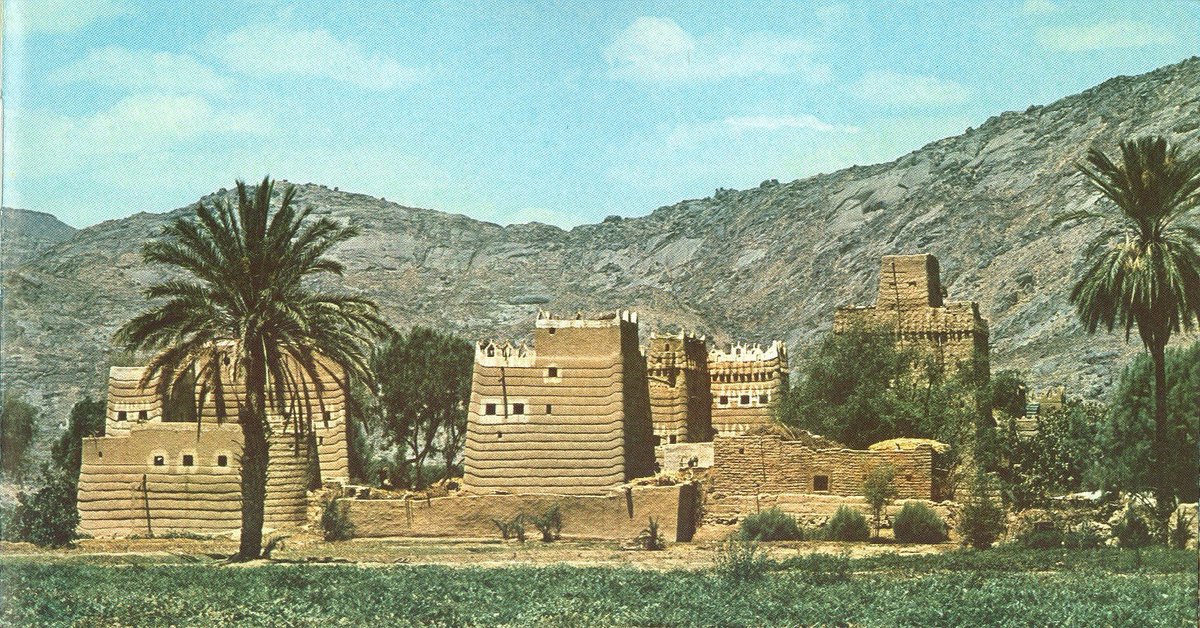 صالح زمانان tweet media