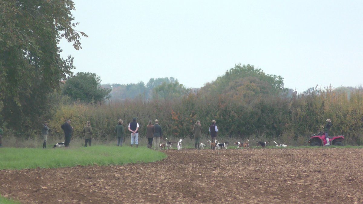 SevernValeSabs's tweet image. 🐰 Hunt 1/2 on Sat: the opening meet of Four Shires Bassets at Litchfield Farm, Enstone, Oxon. 

Panicked phone calls, sour faced supporters &amp;amp; a quad driven at our Sabs… but they boxed up &amp;amp; went home 🙌

Please consider donating to keep us in the fields: gofund.me/f2eefc3c2