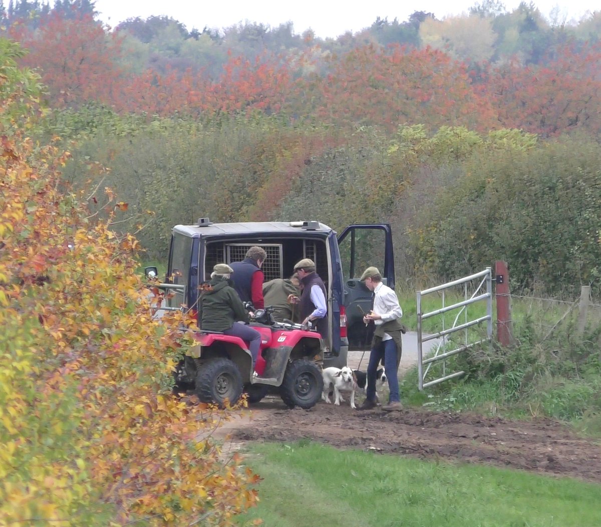 SevernValeSabs's tweet image. 🐰 Hunt 1/2 on Sat: the opening meet of Four Shires Bassets at Litchfield Farm, Enstone, Oxon. 

Panicked phone calls, sour faced supporters &amp;amp; a quad driven at our Sabs… but they boxed up &amp;amp; went home 🙌

Please consider donating to keep us in the fields: gofund.me/f2eefc3c2