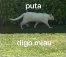 K0mo3rb1 (Tú) tweet media