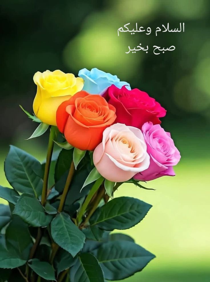 السلام علیکم 
مشکل وقت میں ہمیشہ دعا مانگو، جہاں انسان کا حوصلہ ختم ہوتا ہے، وہاں سے اللہ پاک کی رحمت شروع ہوتی ہے۔ ❤️ 💯
 #داستان_دل