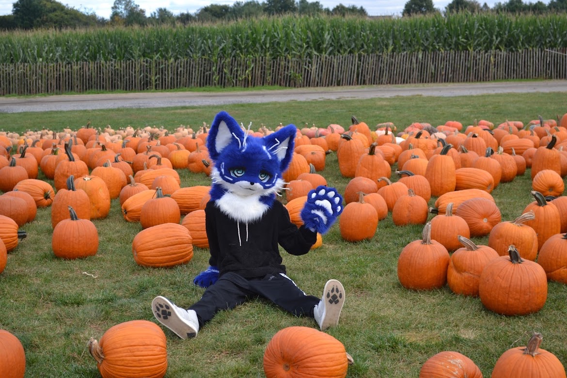 Had fun at the pumpkin patch the other day :3

#FursuitEveryday